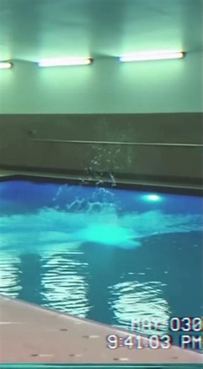 Rare VHS Footage: Cat Takes Epic High Dive Into Pool! 🐱💦