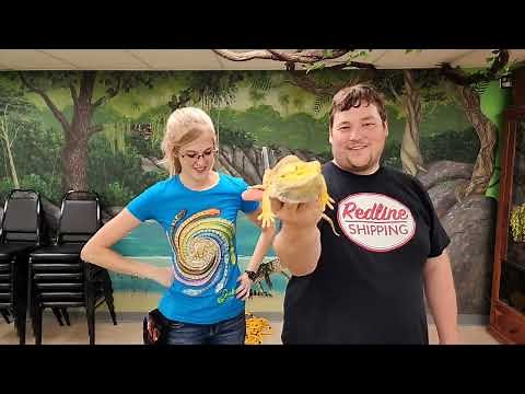 Adoptathon September 2023! Meet our Adoptable Reptiles!