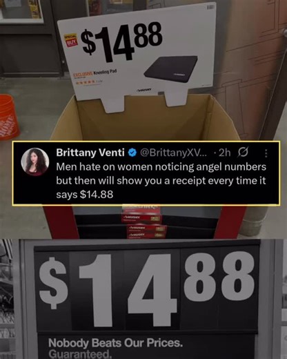 7.8K views · 506 reactions | Why not both? | Aggressively Uninterested | Facebook