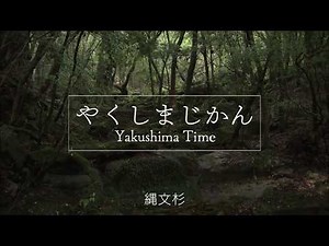 【やくしまじかん】縄文杉