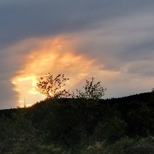 shadowxdixon - Twitch