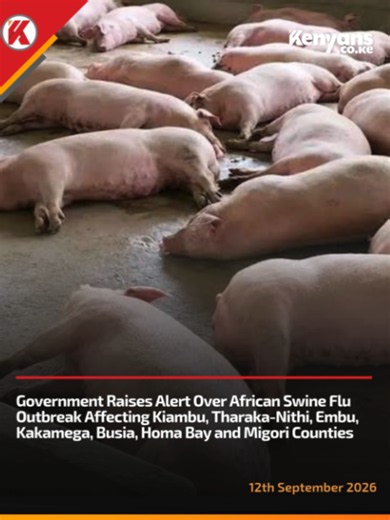 Government raises alert over African Swine flu outbreak affecting Kiambu, Tharaka-Nithi, Embu, Kakamega, Busia, Homa Bay and Migori counties #Kenyans #healthylifestyle #HealthyLiving #Swine