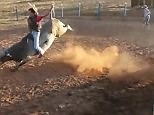 Teenage bull rider is killed after being kicked in the HEAD