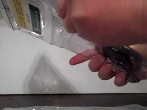 Getting Started with Your New JP-1 Jang Hand Seeder