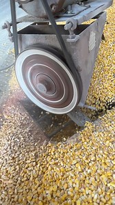 Slow motion fun! #farm #farming #farmlife #familyfarm #agriculture #reelsvideo #reelsfb #reels #tractor #caseih #johndeere #fun #harvest #country #work #hardwork #iowa #kids DEKALB Asgrow Seed Pivot Bio Golden Harvest Seeds Grizzly Leatherman | Titman Farms