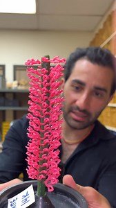 5.8K views · 61 reactions | 1_270. HOW TO MAKE A GOLD CHAIN- START TO FINISH #shorts #richkidsofinstagram #richmondhill #richardmille #richietozier #RichLifeStyle #riches #richpeople #richkids #richpiana #richlife #richmond #richard #richdadpoordad #richgang #rich | Thenle | Facebook