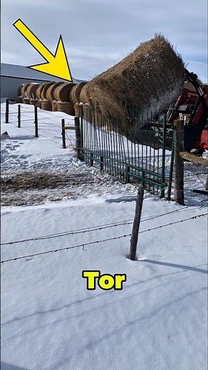 Das selbstschließende Tor, über das man einfach drüberfährt