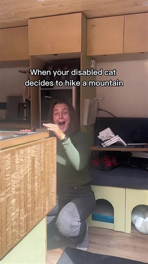 Disability Doesn’t Define You 💪#foryou #fyp #cat #disabilitytiktok #pet