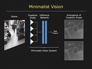 Minimalist Vision with Freeform Pixels