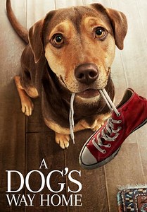 A Dog's Way Home (2019)