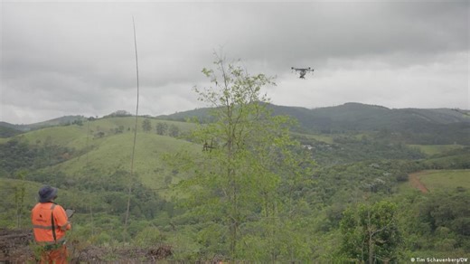 How drones could help reforest the world's green lungs
