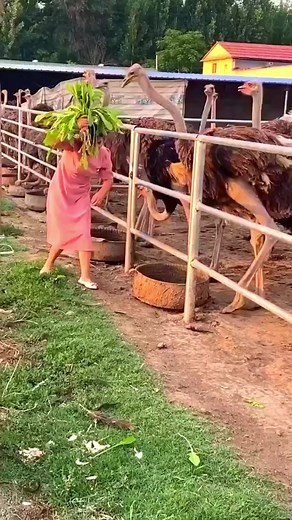 Its too funny | #SDCC #barbie #jungkook #tonybennett #funny | Inspiration Of Life