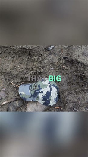 Huge Grizzly Bear Track on the Riverbank | Bear Country in the Yukon #GrizzlyBear