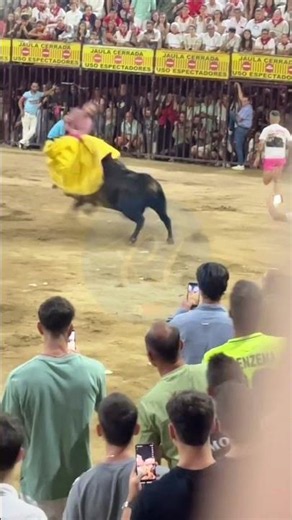 ‼️👉🏻Así se vivió la lidia del de Caras Blancas de Carpio en Coria. Con la plaza completamente llena.