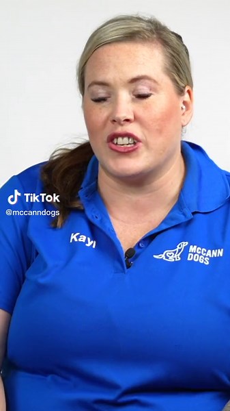 Why You Should Train Your Dog to Walk on the Left Side