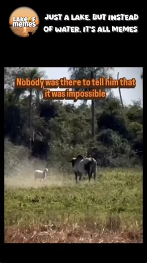 𝙃𝙖𝙥𝙥𝙞𝙣𝙚𝙨𝙨 𝙞𝙨 𝙝𝙚𝙧𝙚 🐥 on Instagram: "발매된 스페인 세비야 출신 듀오 Los del Río의 곡으로, 스페인에서 먼저 인기를 얻었지만, 이후 라틴아메리카와 미국까지 퍼져나가며 전 세계적인 메가 히트를 기록했습니다. 이 곡이 폭발적으로 퍼진 계기는 바로 1996 애틀랜타 올림픽. 당시 전 세계로 중계된 미국 여자 국가대표 체조팀의 퍼포먼스가 ‘마카레나’의 신나는 리듬과 함께 어우러지면서, 곡의 인기가 폭발적으로 확산되었습니다. 그 결과, 1996년 빌보드 핫 100 차트에서 무려 14주 연속 1위를 차지하며 역사적인 기록을 남겼고 연말 차트 1위를 비롯해 빌보드 올타임 차트 8위에도 오르는 대기록을 세웠습니다. 특히, 영어가 아닌 외국어 노래로 미국 시장에서 이 정도의 성공을 거둔 사례는 지금도 손에 꼽힙니다. 또 다른 성공 요인은 중독적인 춤. 단순하면서도 허리 움직임이 돋보이는 이 안무는 당시 남녀노소에게 큰 인기를 얻었고, 전