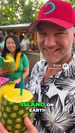 Oahu Van Tour: Hawaii's Most Beautiful Island! #shorts