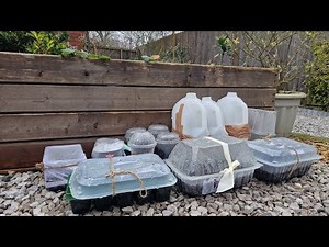 Winter sowing and the seeds l planted in January