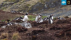 1.4K views · 44 reactions | What's a Bio Blitz? Find out as guests,...