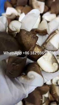 Automatic Mushroom washing, batter coating and frying machine Tempura frying machines plant