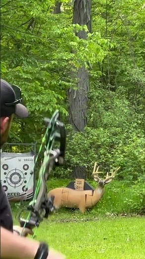 No Mercy on the 365 Archery Target Buddy 💥🦌 #Archery #BowLife”