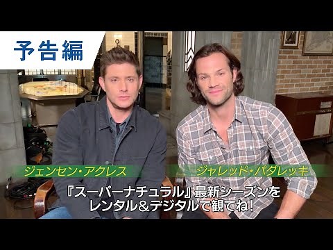 DVD/デジタル【予告編】「SUPERNATURAL XV＜ファイナル・シーズン＞PART1 」10.9 Vol.1〜5レンタル開始 / デジタル配信中