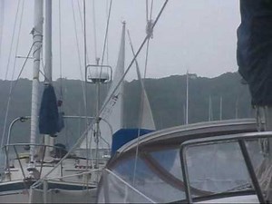 heavy weather sailing Catalina 22 C22 extreme sail on Courageous Cat Sailboat C 22