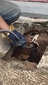 @sasashop516 on Instagram: "𝐖𝐂 𝐀𝐓𝐀𝐔 𝐒𝐀𝐋𝐔𝐑𝐀𝐍 𝐌𝐀𝐌𝐏𝐄𝐓❓ KAWAT PEMBERSIH WASTAFEL SOLUSINYA dapat menjangkau area dalam saluran air hingga 3metter hanya dengan satu alat dapat membersihkan saluran menggunakan bahan baja berkualitas DAPATKAN PROMO DISKON HINGGA 50% KLIK LINK DIBAWAH https://daftarbelanjaan.com/spring-anti-mampet-fr2/"