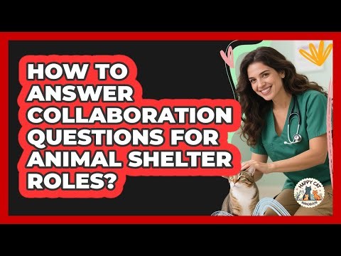 How To Answer Collaboration Questions For Animal Shelter Roles?