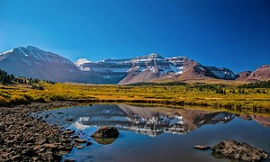 6 Amazing Animals That Are Endangered and Living In Utah