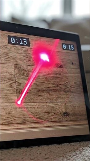 Fun and Fast: The 60-Second Laser Game Your Pets Will Love!
