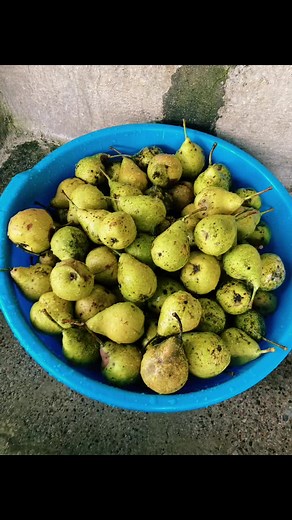 shabani1233 sur TikTok