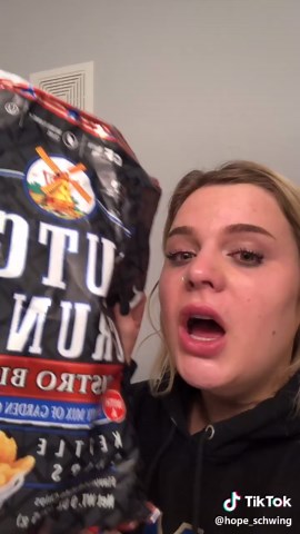 Cat Meme Compilation: Funny Tummy Hurt Moments