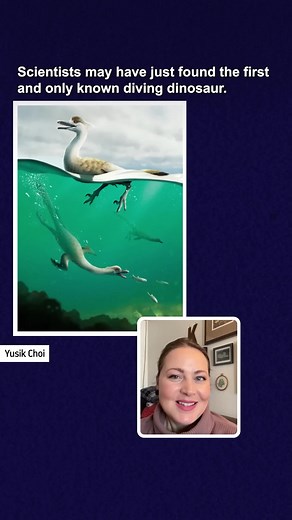 61K views · 1.7K reactions | Scientist Discovered The First (And Only) Diving Dinosaur! #dinosaurs | Eons • PBS | Facebook
