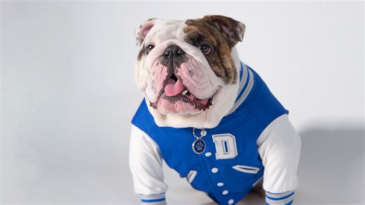 Court orders DMACC to drop new D logo, holds its branding likely violates Drake trademark