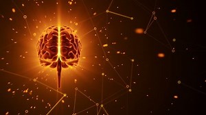 Animation Rotation Human Brain Flying Data Stock Footage Video (100% Royalty-free) 17343664 | Shutterstock