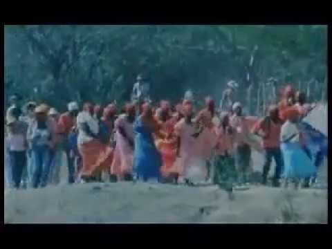 Salsa en Cuba: Historia del Son Cubano, Rumba y Guaguanco