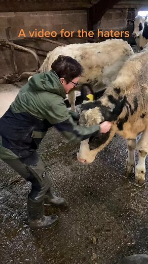 Responsible Animal Care: A Dairy Farmer's Perspective