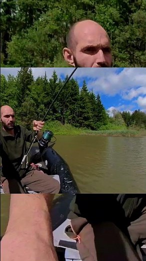 Cattura mostruosa: il re del lago #pike #fishing #wildfishing #carpfishing