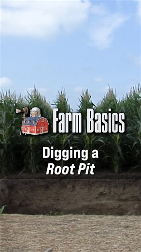 Digging a root pit is very educational. | Ag PhD