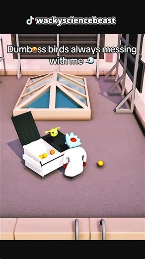 The early bird gets to troll 🐥😈😂