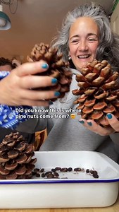 33K views · 731 reactions | ✨ Shared this on my stories and SO many...