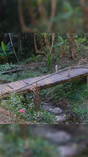 1.8M views · 35K reactions | A rural grandfather built a wooden arch bridge, with no nails in the mortise and tenon joints, and there are many experts among the people【阿木爷爷Grandpa Amu】 #阿木爷爷GrandpaAmu #手工 #工藝品 #木工 #DIY #reels #shorts | 阿木爷爷Grandpa Amu | Facebook