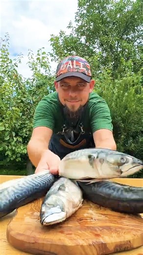 Perfectly Grilled Fish Skewers Over Coals