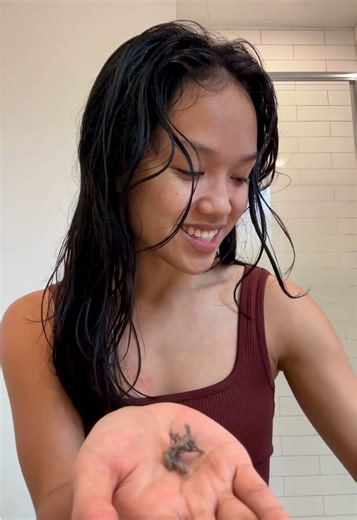 How to Clean Your Shark Hair Dryer: A Quick Reminder