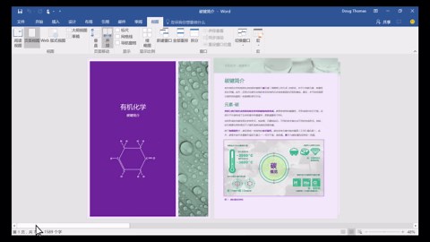 一次在Word中并排查看页面