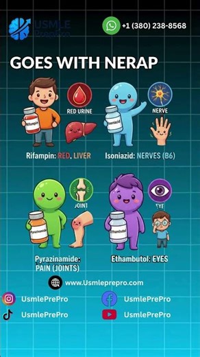 TB Medication Side Effects: The RIPE Mnemonic | USMLE PrepPro