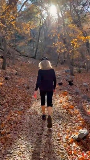 Slow walking through the woods after the holidays