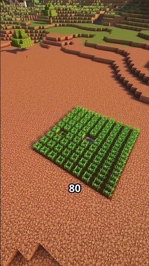 How to build fields correctly in Minecraft