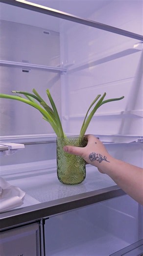 Adulting 101: How to Stock Your Fridge